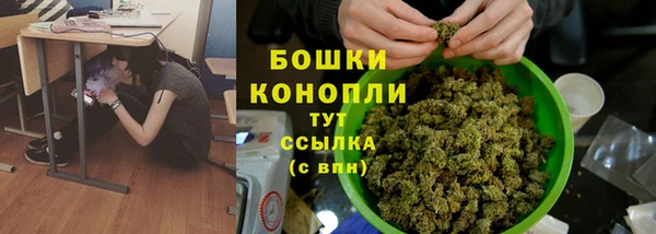 гидра Нея