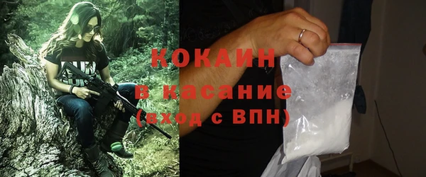 твердый Иннополис