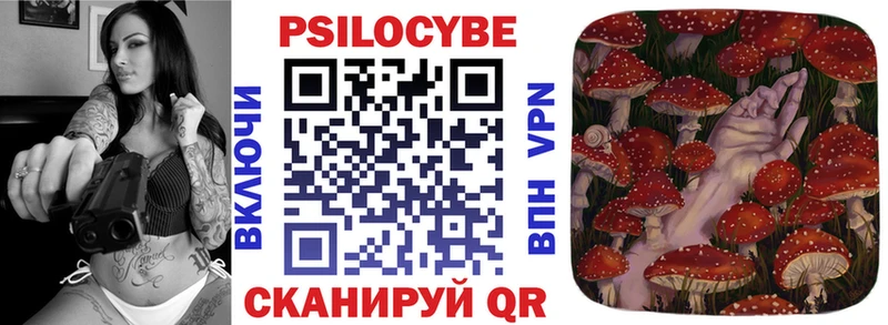 Псилоцибиновые грибы Cubensis  блэк спрут   Благовещенск 