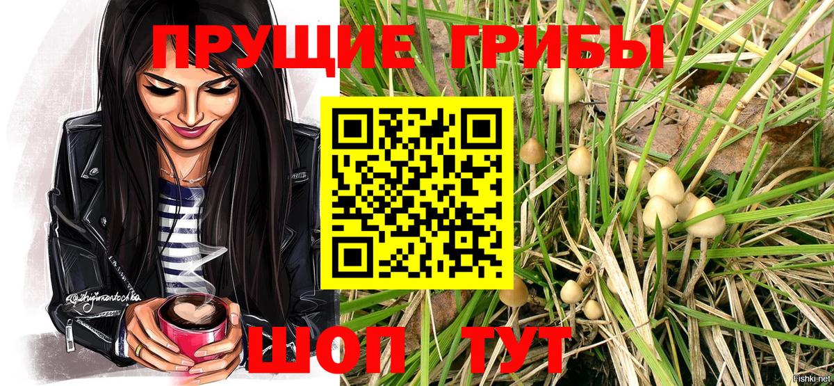 Галлюциногенные грибы MAGIC MUSHROOMS  Псилоцибиновые грибы Magic Shrooms  Благовещенск 