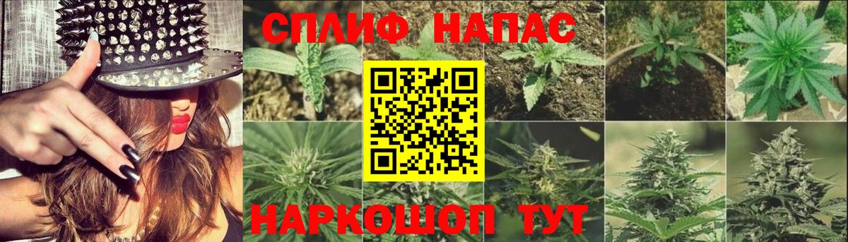Канабис гибрид Благовещенск